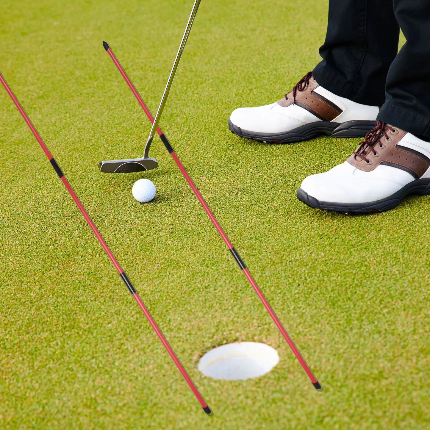 SwingLab™ Alignment Stick
